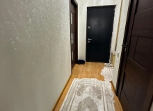 Yeni günəşli D massivi