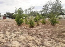 Satılır Mərdəkan