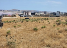 Şəmşir Abbasov küçəsi