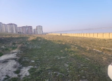 Masazır qəsəbəsi, Şəmşir Abbasov küçəsi