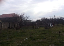 Satılır Kürdəxanı