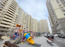 Yeni Günəşli D massivi