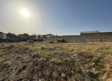 Badamdar qesəsbəsi