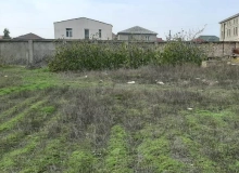 Xaşaxuna