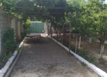 Satılır Saray