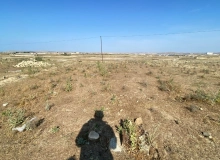 Salahov Yəhya küçəsi
