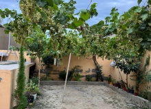 Zabrat