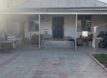 Masazır