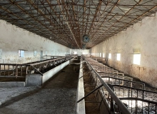 Şirvan şəhəri, Bakı Şirvan yolunun kənarı