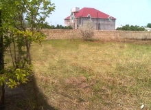 Novxanı