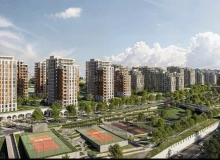 Zığ