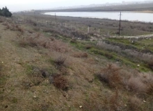 Saray qəsəbəsi, Bakıxanov küçəsi