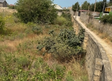 Novxanı qəsəbəsi