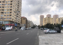 Yaşıl ada küç 1
