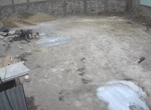 Badamdar qəsəbəsi