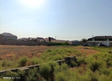 Məhəmmədli Məhəmmədli