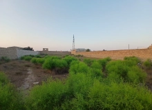 Şüvəlan qəsəbəsi, Mayak-da