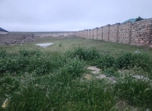 Novxanı