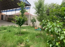 Şahmar Ələkbərov küçəsi