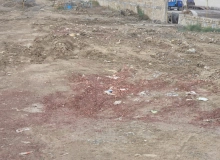 Müşfiqabad qəsəbəsi