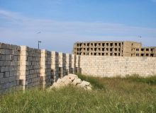 Nardaran