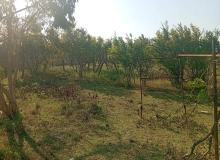 Satılır Pirşağı qəsəbəsi