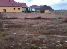 Şağan