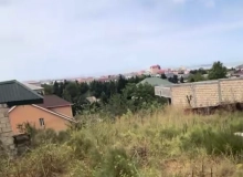 Satılır Novxanı