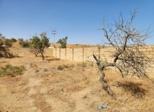 Masazır qəsəbəsi, Polad həşimov küçəsi