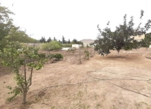 Şüvəlan
