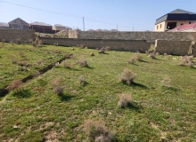 Masazır qəsəbəsi, Abşeron küçəsi
