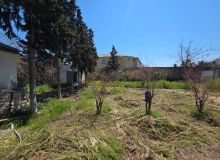 Satılır Şüvəlan