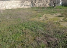 Mikayıl Əliyev küçəsi