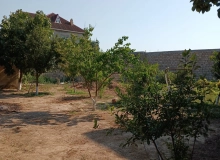 Buzovna qəsəbəsi