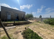 Albalı bağ massivi